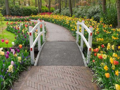 progettazione di parchi e giardini