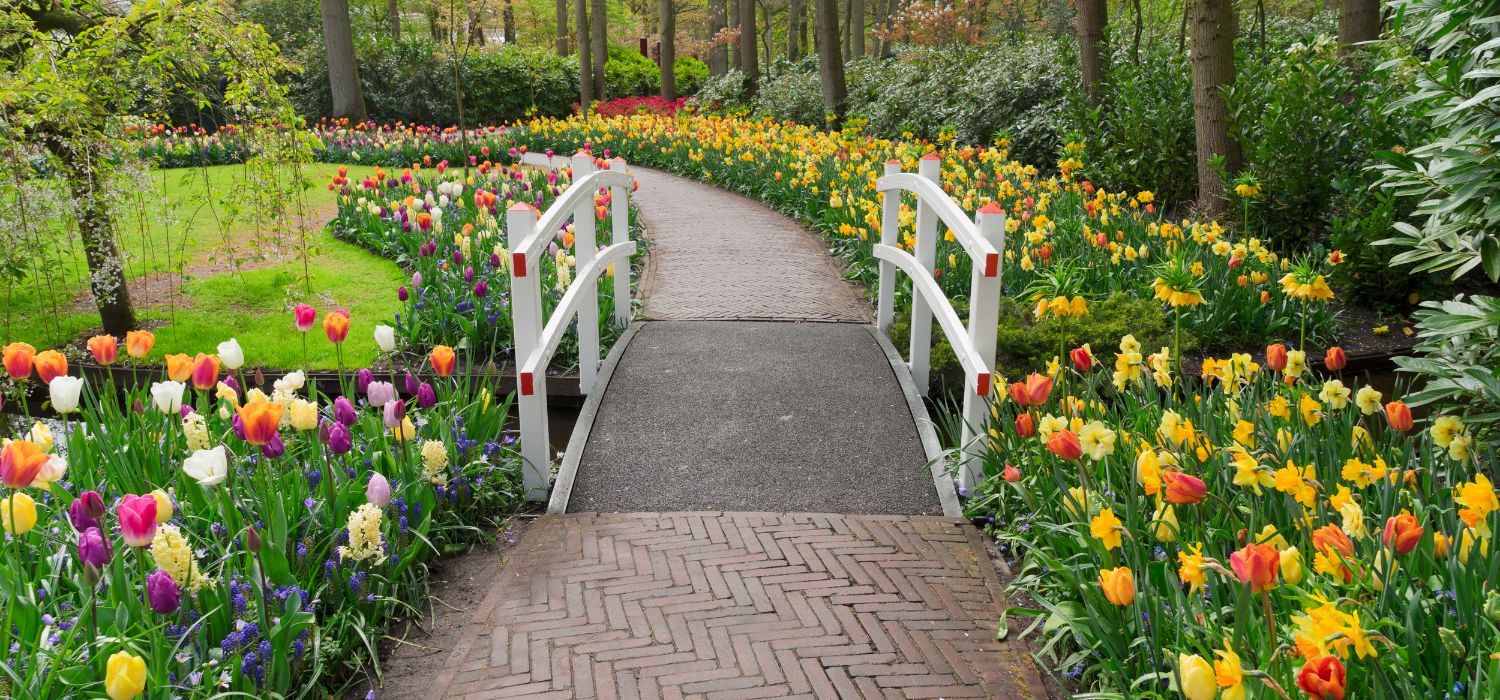 Progettazione di parchi e giardini con rendering 3D